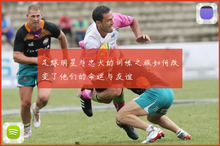 足球明星与忠犬的训练之旅如何改变了他们的命运与友谊
