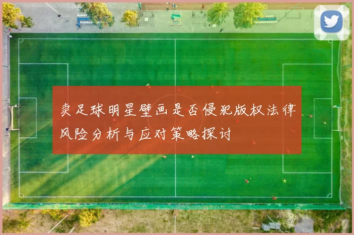 卖足球明星壁画是否侵犯版权法律风险分析与应对策略探讨