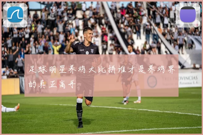 足球明星养鸡大比拼谁才是养鸡界的真正高手