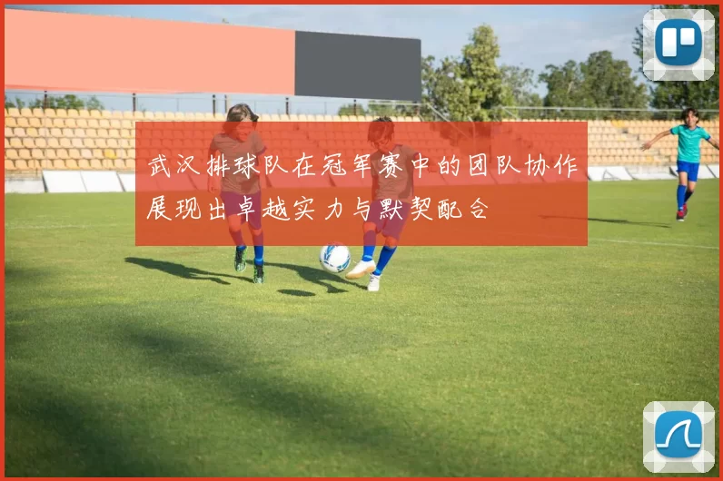 武汉排球队在冠军赛中的团队协作展现出卓越实力与默契配合