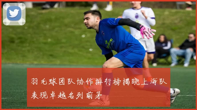 羽毛球团队协作排行榜揭晓上海队表现卓越名列前茅
