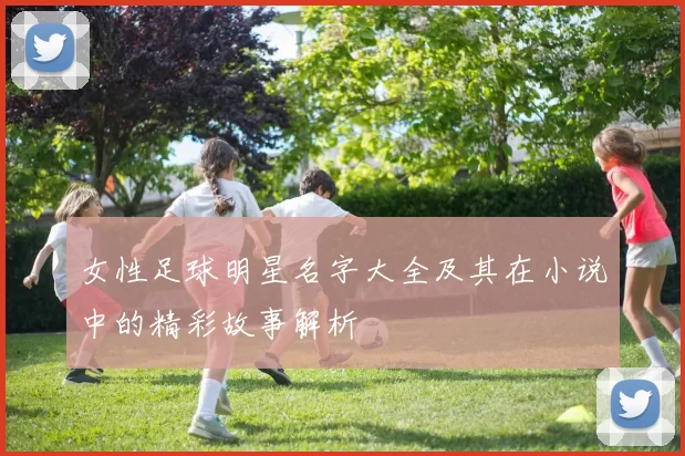 女性足球明星名字大全及其在小说中的精彩故事解析
