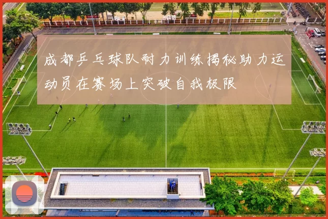 成都乒乓球队耐力训练揭秘助力运动员在赛场上突破自我极限
