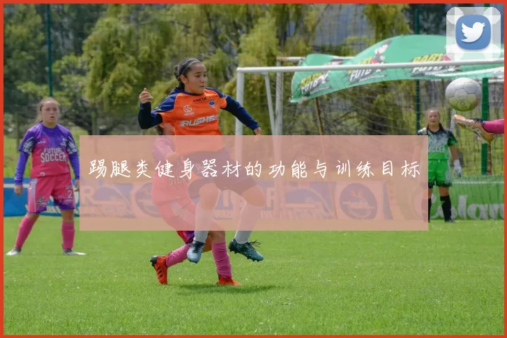 踢腿类健身器材的功能与训练目标