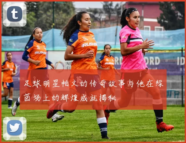 足球明星帕文的传奇故事与他在绿茵场上的辉煌成就揭秘