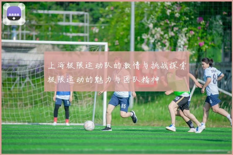 上海极限运动队的激情与挑战探索极限运动的魅力与团队精神