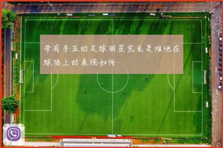 带有李亚的足球明星究竟是谁他在球场上的表现如何