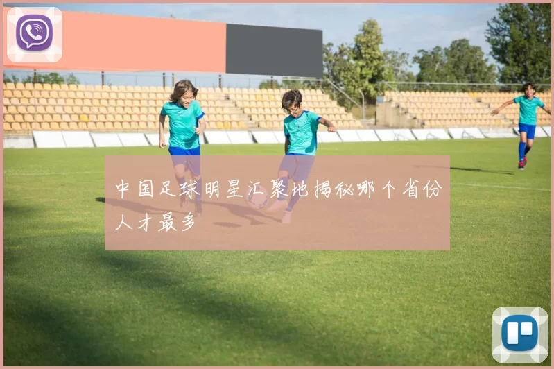中国足球明星汇聚地揭秘哪个省份人才最多