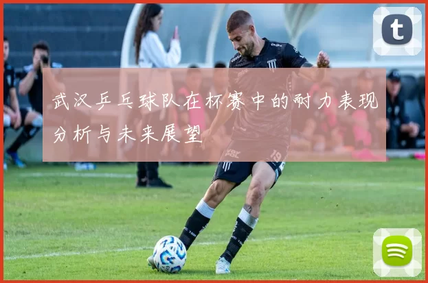 武汉乒乓球队在杯赛中的耐力表现分析与未来展望
