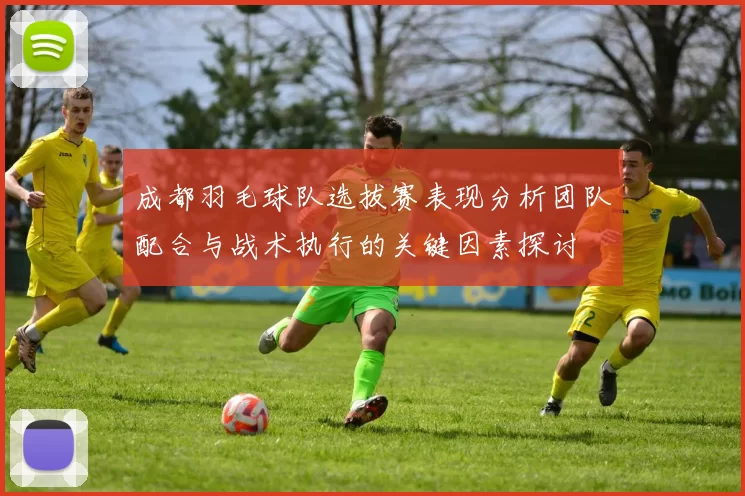 成都羽毛球队选拔赛表现分析团队配合与战术执行的关键因素探讨
