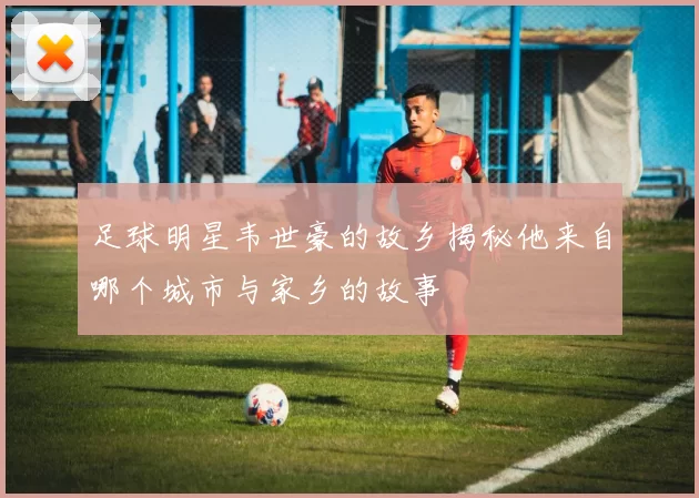 足球明星韦世豪的故乡揭秘他来自哪个城市与家乡的故事