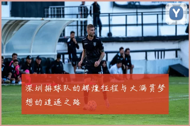 深圳排球队的辉煌征程与大满贯梦想的追逐之路