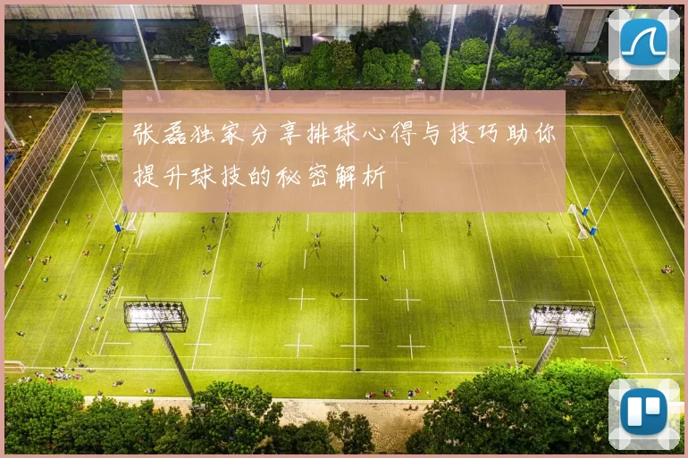 张磊独家分享排球心得与技巧助你提升球技的秘密解析