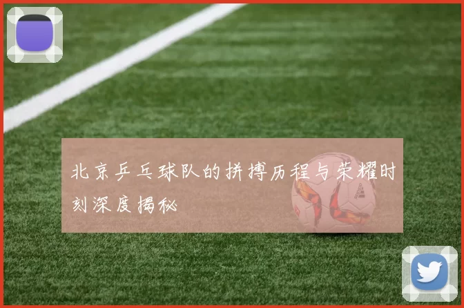 北京乒乓球队的拼搏历程与荣耀时刻深度揭秘