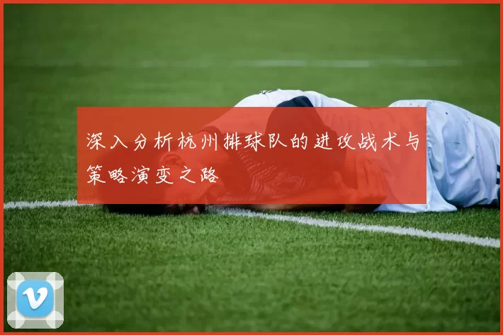 深入分析杭州排球队的进攻战术与策略演变之路