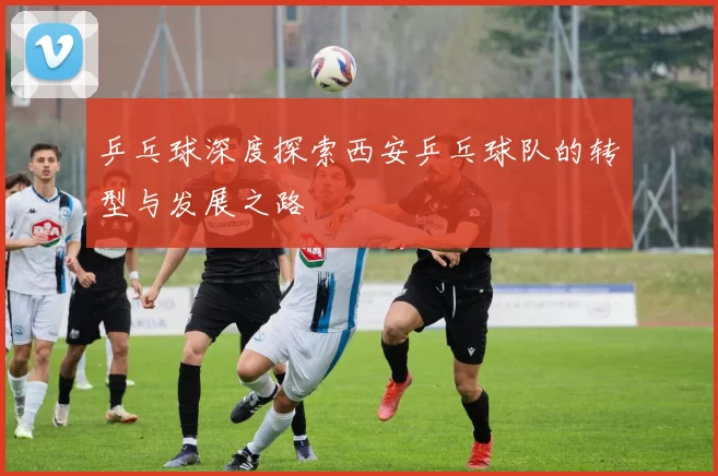 乒乓球深度探索西安乒乓球队的转型与发展之路